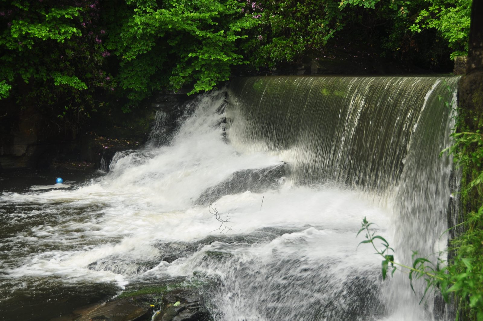 Aberdulais Falls in full flow in the Vale of Neath